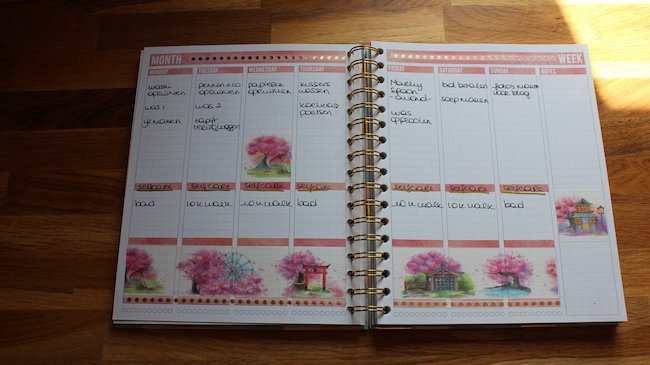 mascha-planner-2021 mascha-planner-2021