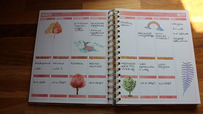 mascha-planner-voorbeelden mascha-planner-voorbeelden