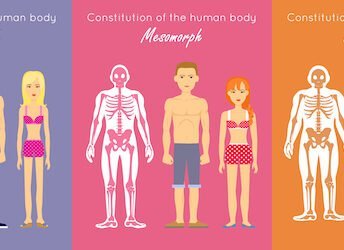 figuurtype-endomorf-ectomorf-mesomorf